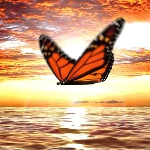 Meet your Posher, Dulce